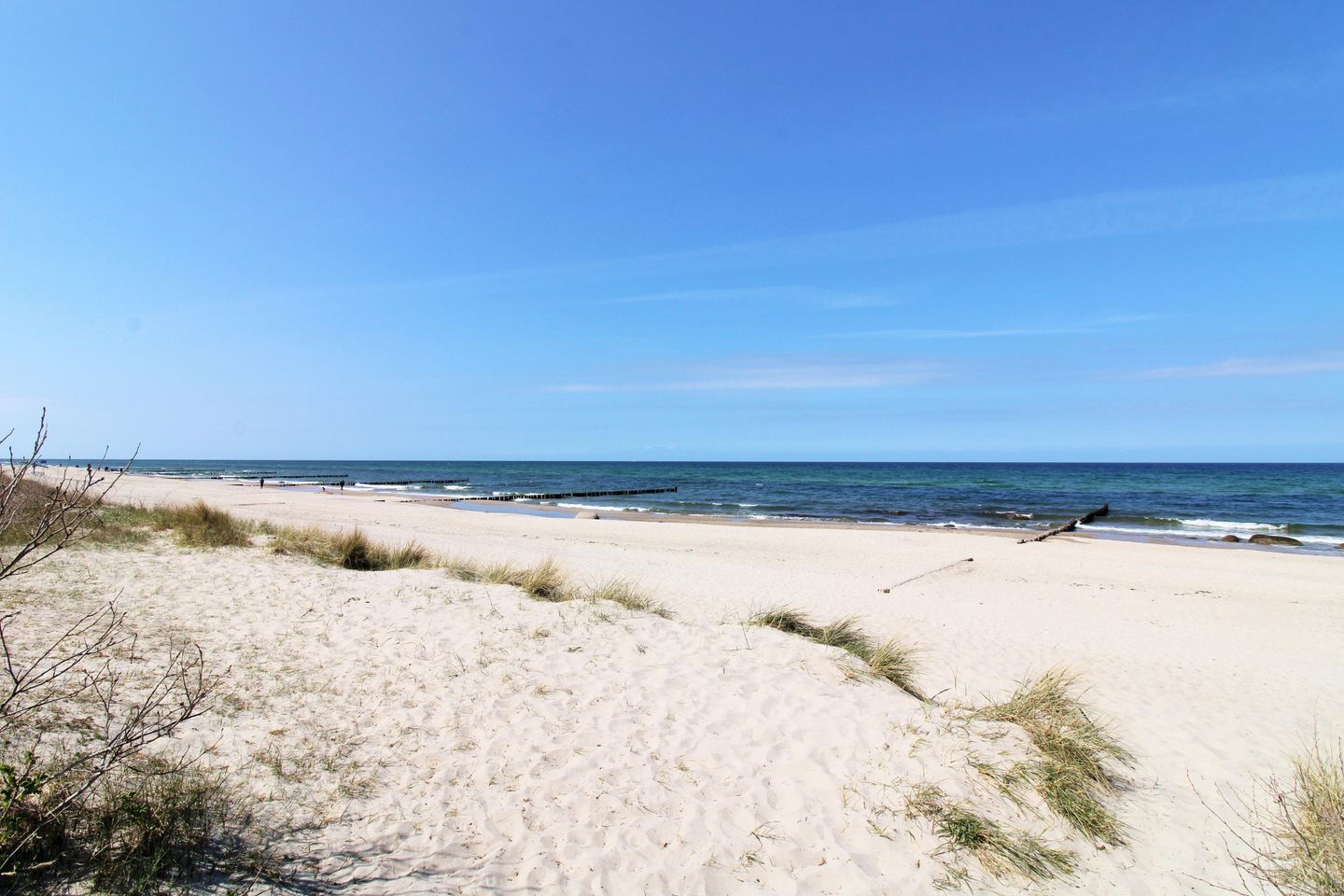 Sandstrand und Dünen an der Ostsee bei Kühlungsborn